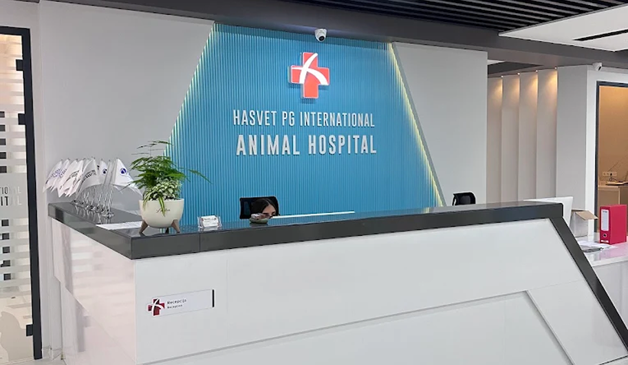 Digital Presence Overhaul for Hasvet PG International Animal Hospital